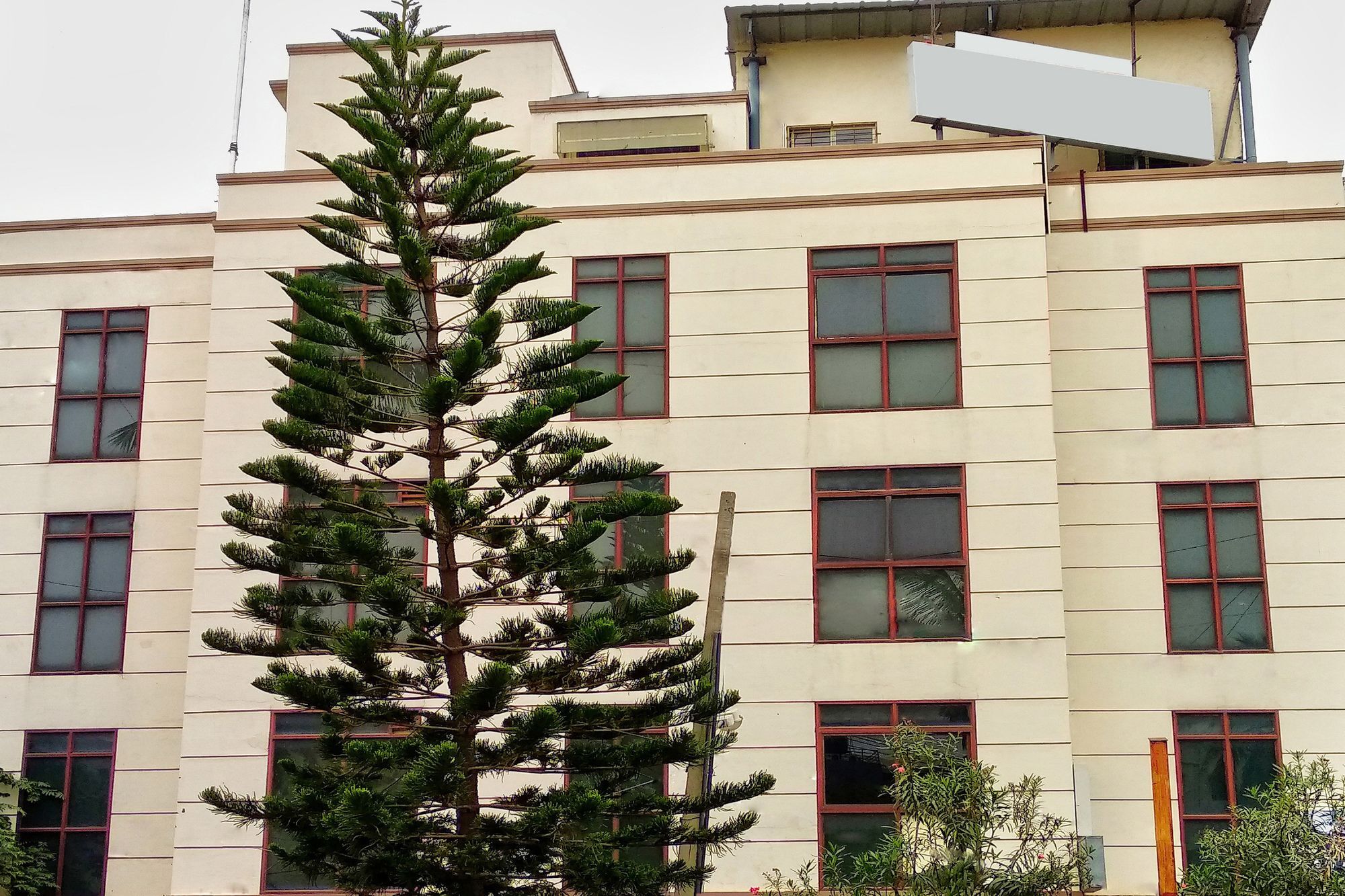 Oyo 539 Hotel Pearl Inn Bangalore Exteriör bild